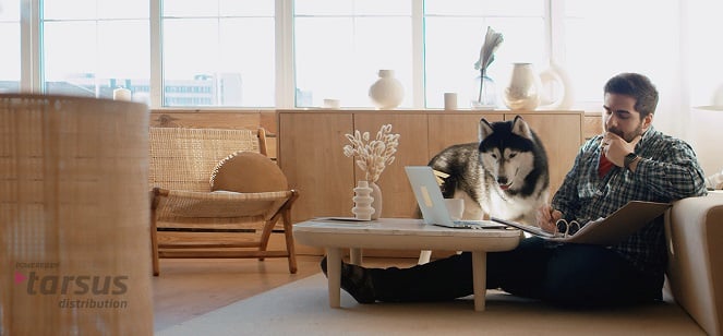 remote working