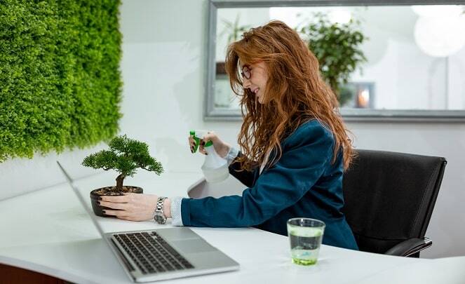 Protecting Your Growing Business from Power Outages